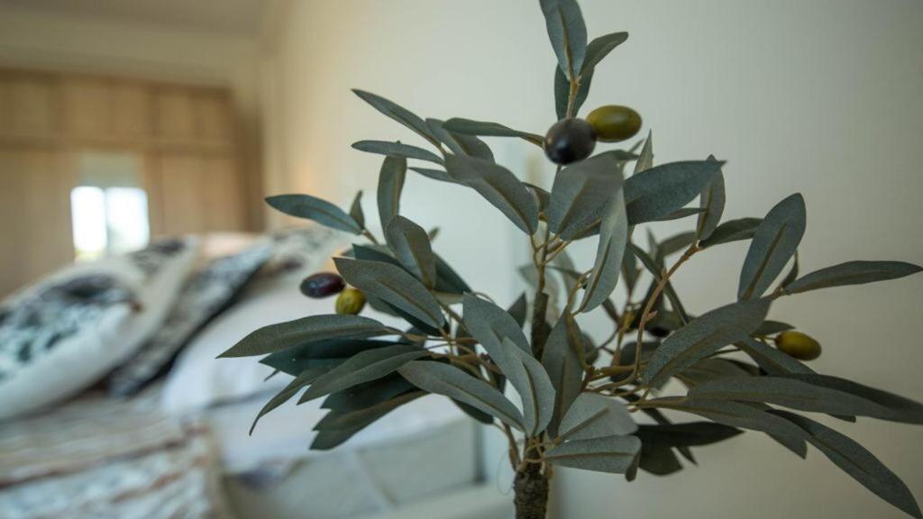 Grande Villa 卡尼奥提 外观 照片